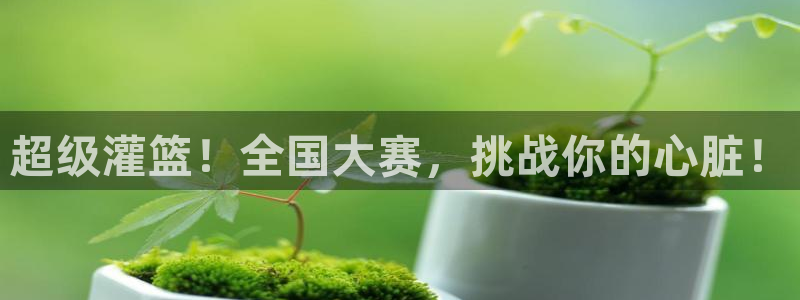 漫蛙上