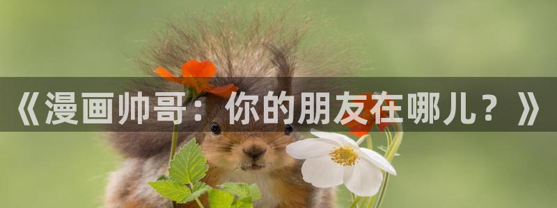 漫蛙安卓下载入口