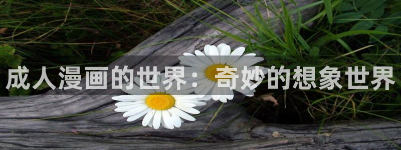 怎么注册漫蛙