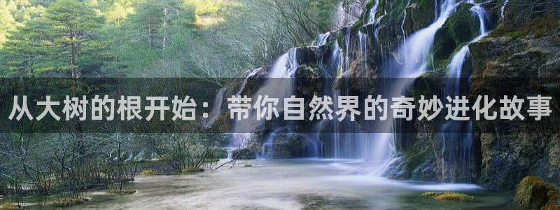 漫蛙成人