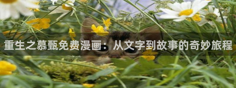 漫蛙漫画免费在线