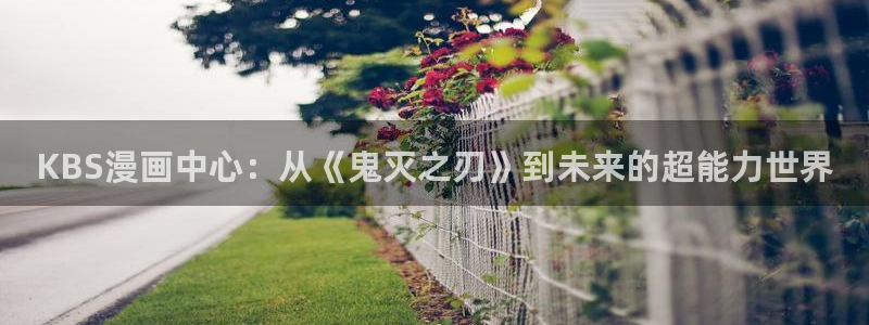 漫蛙manwa官网版免费