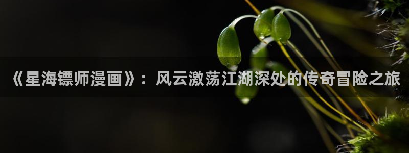 漫蛙manwa官网版在线观