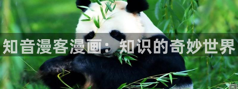 漫蛙在线app