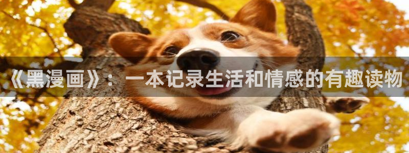 素描漫画漫蛙