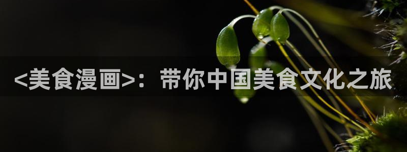 漫蛙22025