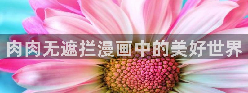 漫蛙漫画正版下载安装最新版本