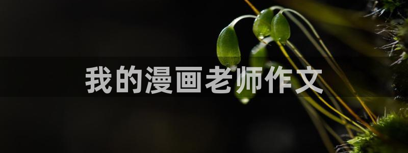 漫蛙漫画官方版正版