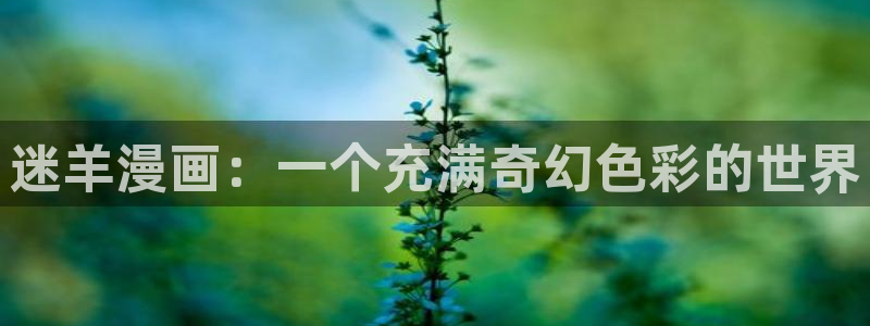漫蛙最新版本