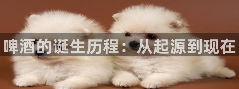 漫蛙manwa2旧版