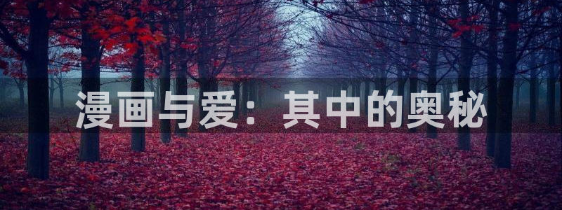 漫蛙进不去