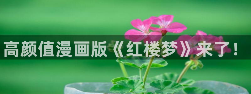 漫蛙漫画网页链接