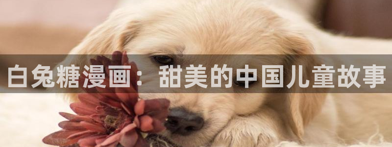 漫蛙正版下载安装