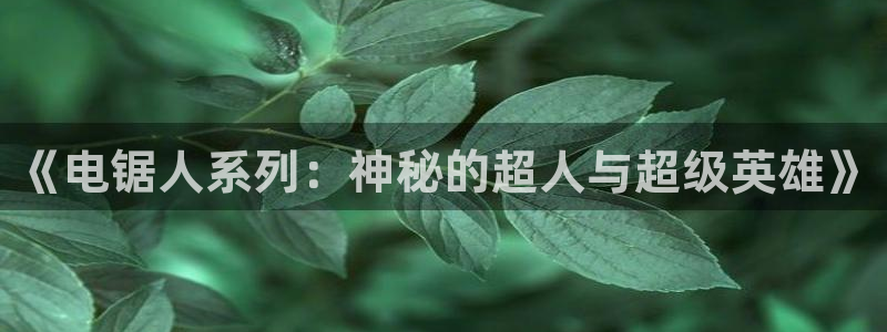 漫蛙网页版防走失2024