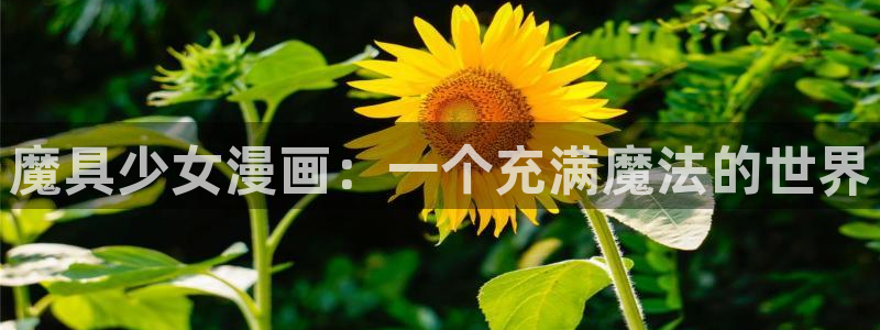 漫蛙漫画(网页入口)下载
