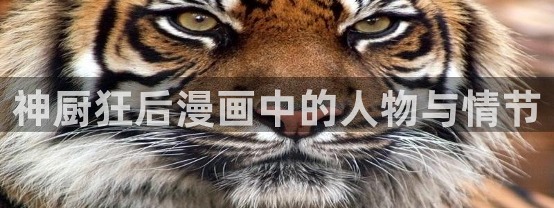 漫蛙漫画首页：神厨狂后漫画中的人物与情节