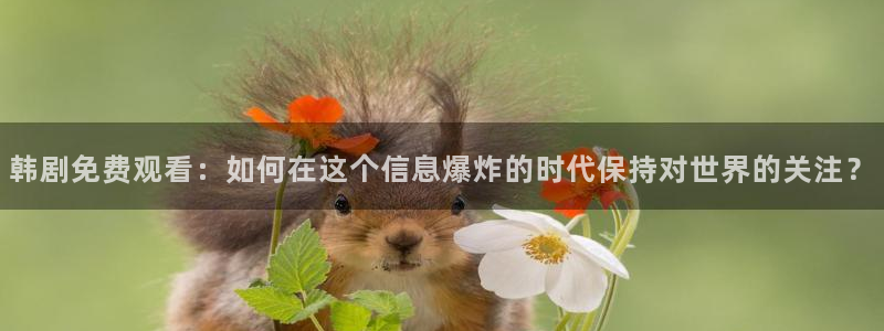 漫蛙2旧版