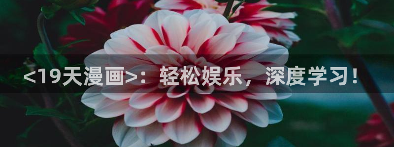 漫蛙.com