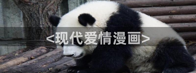 漫蛙manwa2官网下载