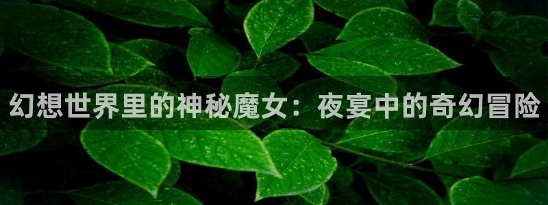 漫蛙正版在哪下载