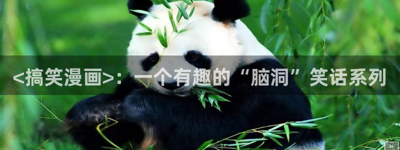 漫蛙是什么软件