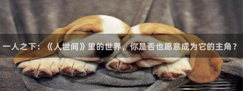 漫蛙动漫(网页版入口)