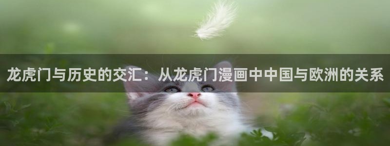 漫蛙忍者蓝漫画