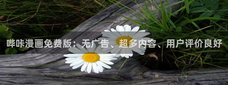 免费漫蛙漫画：哔咔漫画免费版：无广告、超多内容、用户评价良好