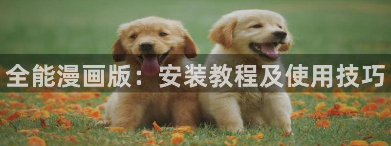 漫蛙2下：全能漫画版：安装教程及使用技巧