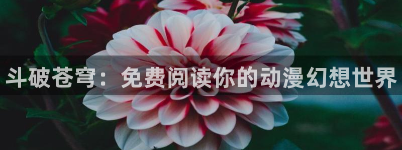 漫蛙2免费版下载入口：斗破苍穹：免费阅读你的动漫幻想世界